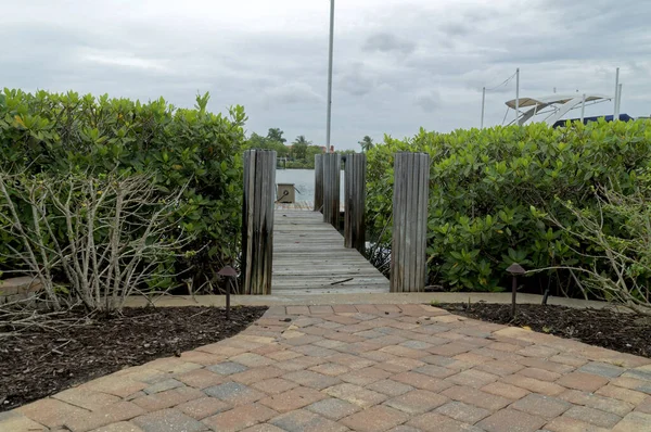 Paved Walkway Leads Wooden Dock Surrounded Mangroves Cloudy Day Florida — Stock Photo, Image