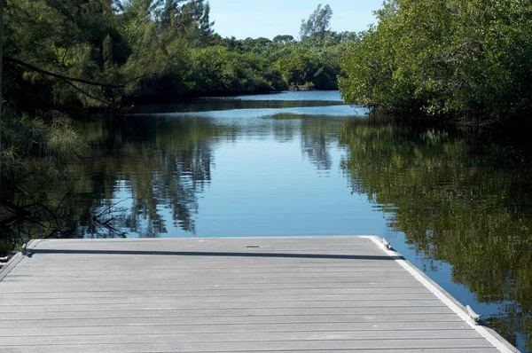 Looking Out End Empty Pier Imperial River Surrounded Florida Wilderness — Stock Photo, Image