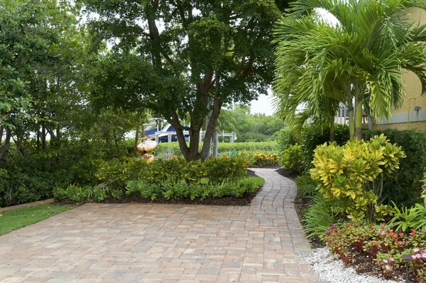 Una Hermosa Pasarela Pavimentada Florida Bien Cuidada Rodeada Árboles — Foto de Stock
