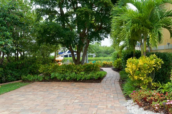 美しい舗装されたフロリダの歩道 よく手入れされ 木々に囲まれて ストック写真