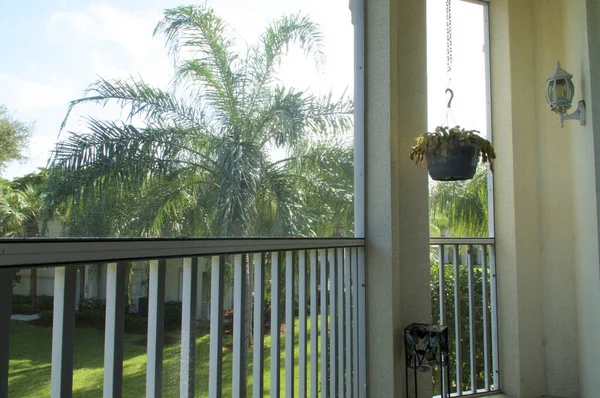 Screened Balcony High Rise Apartment Florida Palm Trees — Fotografia de Stock