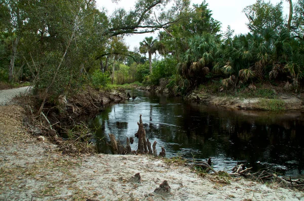 Scenic View Mouth Imperial River Bonita Springs Florida Showing River — Stock Photo, Image