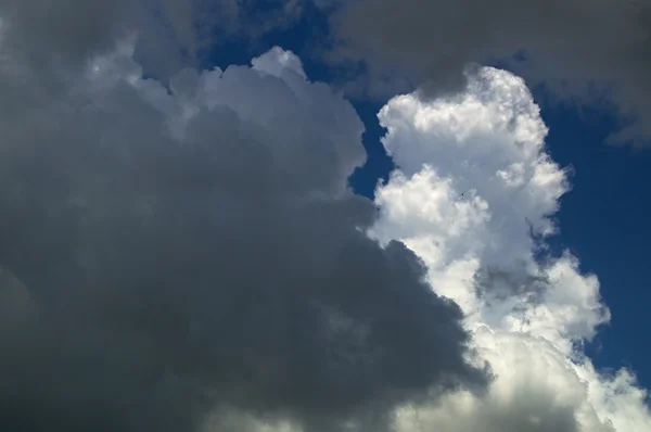 Mengumpulkan awan badai di tengah hari — Stok Foto