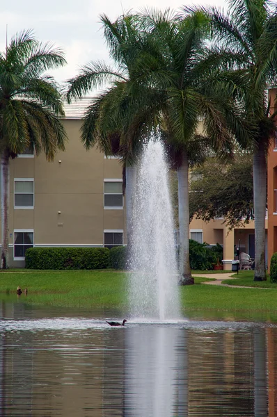 Fontana tropicale con anatra — Foto Stock