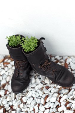 eski ordu önyükleme yetiştiricilerinin Eflatun