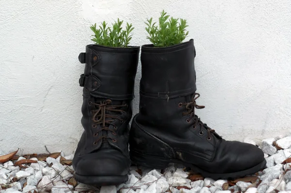 Alter Armeestiefel gefüllt mit Lavendel — Stockfoto