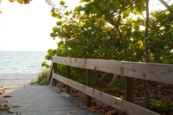 Raised boardwalk leading to beach — Stock Photo, Image