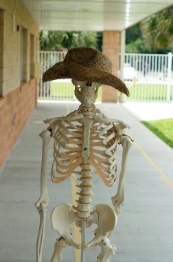 şapkalı insan iskeleti