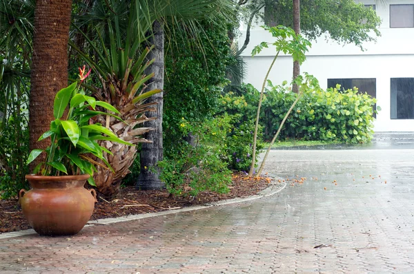 Fuertes lluvias en Florida —  Fotos de Stock