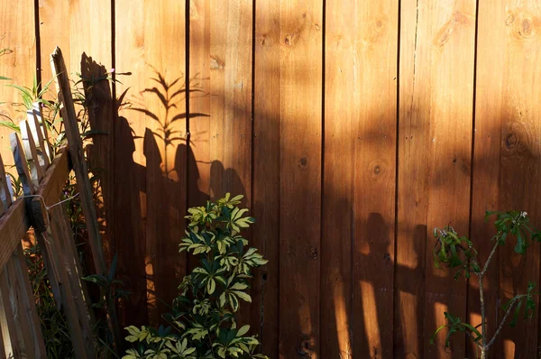 Sun casting shadows on garden fence — Stock Photo, Image