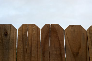 çitin üzerinden arıyor