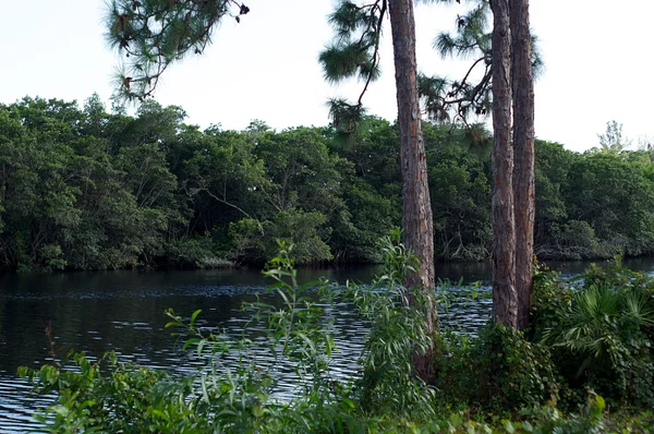 Manantiales bonitos del río Imperial florida — Foto de Stock