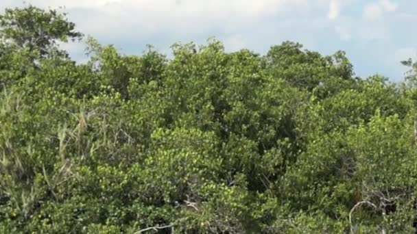 Panoramique du ciel à la rivière 