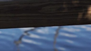 nehir ahşap Disiplin Kurulu'na