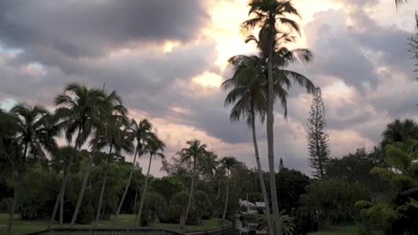 Pan lento di scena tropicale al tramonto — Video Stock