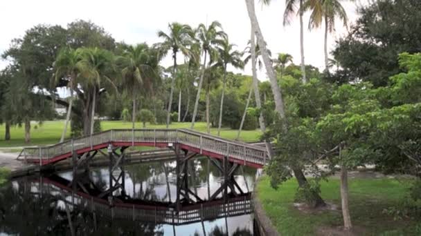 Fa láb híd alatt folyó — Stock videók