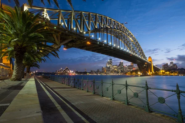 Sydney alacakaranlıkta manzarası