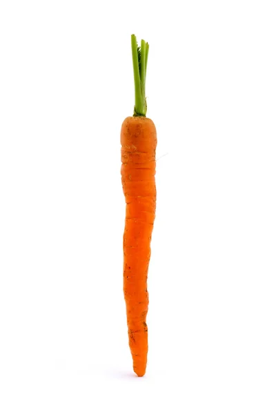 Single carrot over white — Stock Photo, Image