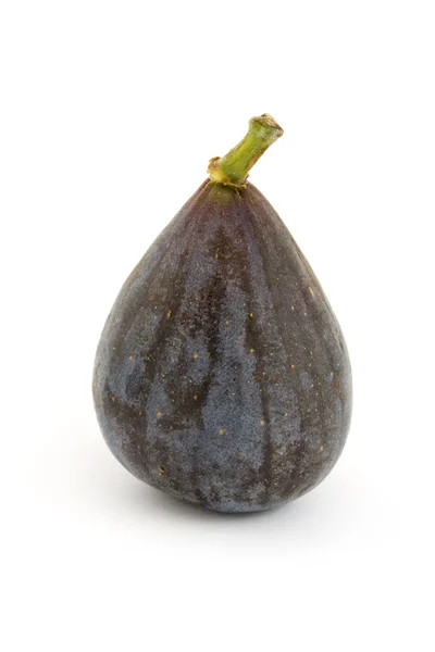 Single ripe fig over white — Stock Photo, Image