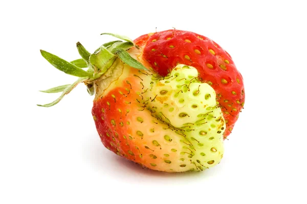 Strange shaped strawberry over white — Stock Photo, Image