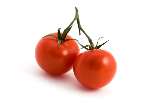 Two tomatoes on the vine over white — Stock Photo, Image