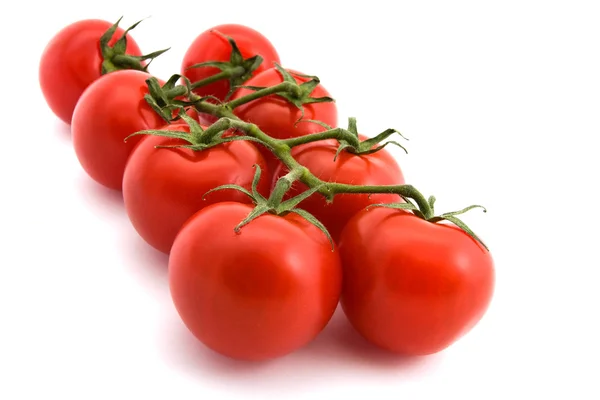 Tomatoes on the vine over white — Stock Photo, Image