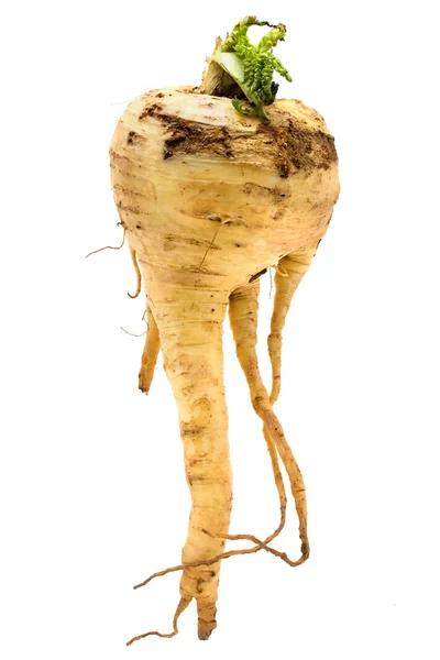 Parsnip isolado em branco — Fotografia de Stock