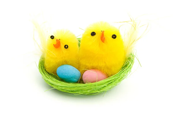 Two easter chicks in a nest — Stock Photo, Image