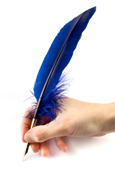 Mavi tüy kalem — Stok fotoğraf