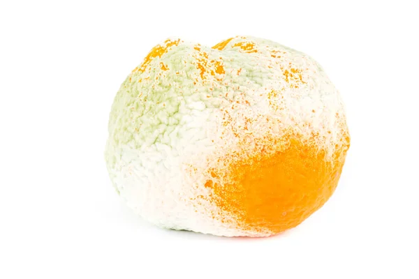 Moldy orange isolated on white — Stock Photo, Image