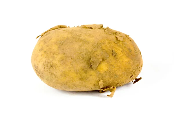 Single organic dirty potato on white — Stock Photo, Image