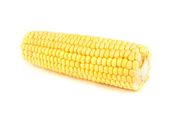 Egyetlen kukorica a cob, fehér. — Stock Fotó