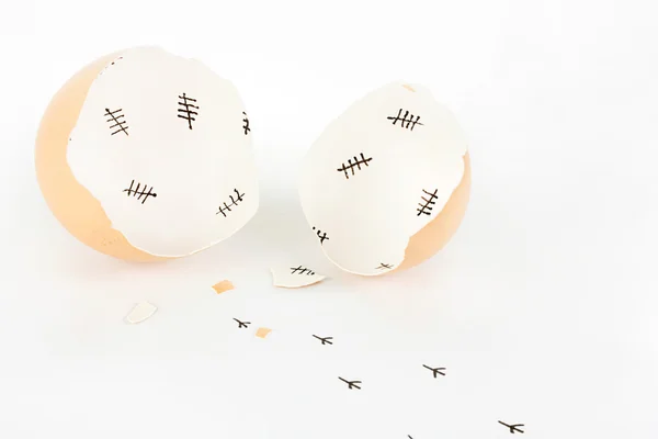 Cáscara de huevo roto con marcas de conteo en el interior y huellas de pollo —  Fotos de Stock