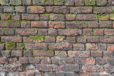 Eski tuğla duvar yosun kaplı