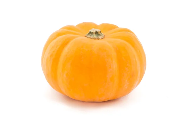 A single pumpkin isolated on white. — Stock Photo, Image