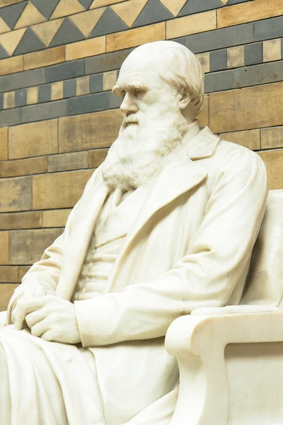 Άγαλμα του Κάρολου Δαρβίνου στην κεντρική αίθουσα με τη φυσική ιστορία — Φωτογραφία Αρχείου