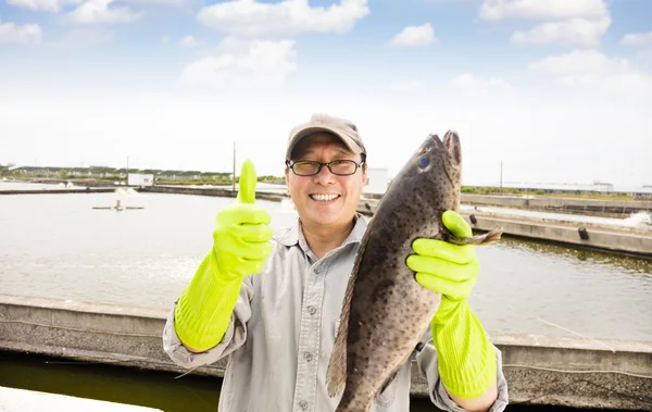 Mutlu balıkçı balık pond balık doğurmak daha önce gösterilen — Stok fotoğraf
