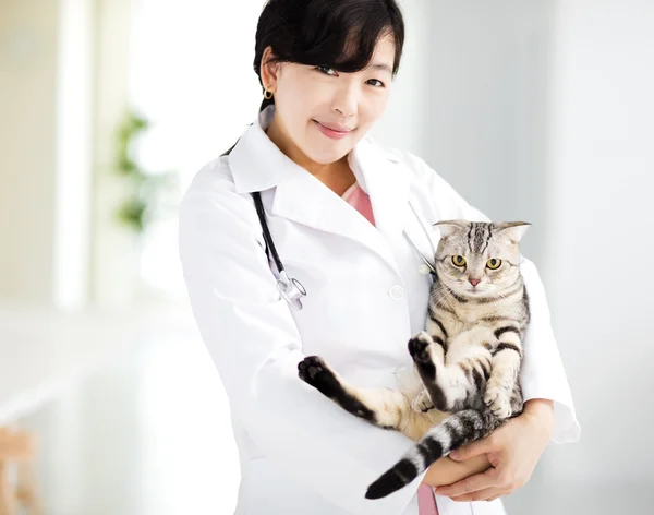 Female veterinarian medical doctor with cat — Stock Photo, Image