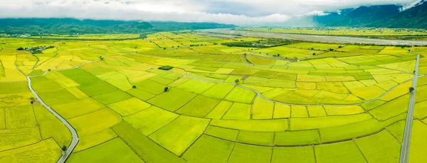 Vista Aérea Beautiful Rice Fields Municipio Chishang Condado Taitung Taiwán — Foto de Stock