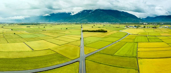 Vista Aérea Beautiful Rice Fields Brown Avenue Chishang Township Taitung — Fotografia de Stock