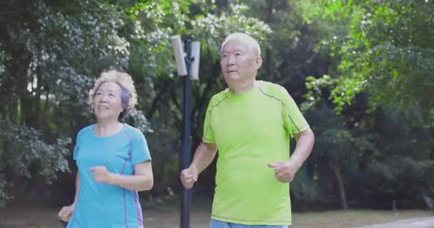 自然公園をジョギングするアジアのシニアカップル — ストック動画