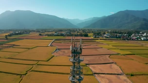 Vista Aérea Torre Antena Telecomunicações Celular — Vídeo de Stock