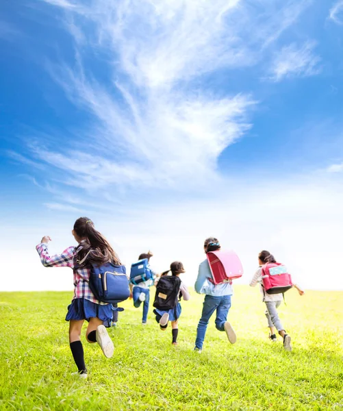 Achteraanzicht Van Basisschoolkinderen Die Het Gras Lopen — Stockfoto