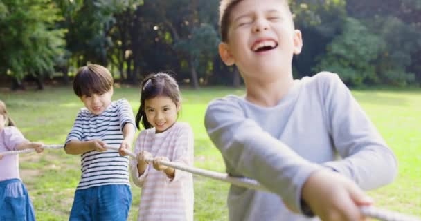 Crianças Felizes Jogando Rebocador Guerra Parque — Vídeo de Stock