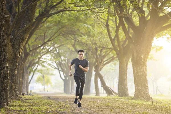 Hombre Corriendo Bosque Niebla Mañana Primavera — Foto de Stock