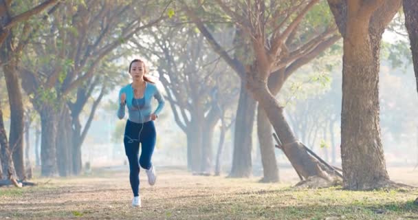 Bella Giovane Donna Che Corre Nel Parco Mattino — Video Stock