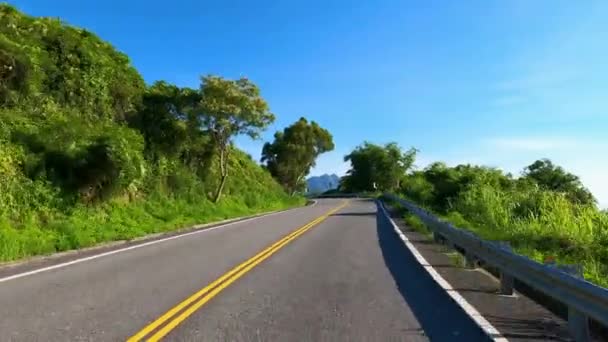 Belle Route Bordée Arbres Dans Tunnel Des Arbres Voiture Travers — Video