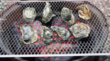 istiridye ızgara. zaman atlamalı