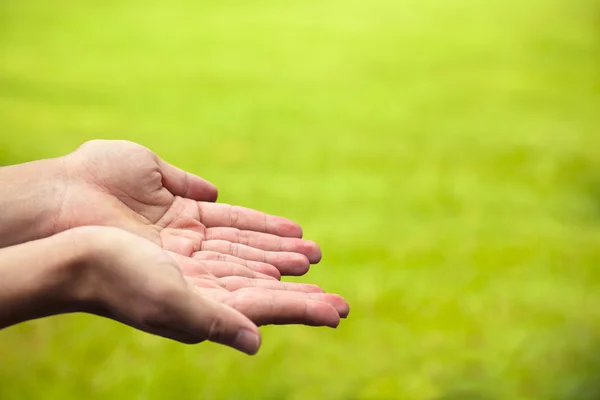 Primo piano delle mani con sfondo verde in esterno — Foto Stock