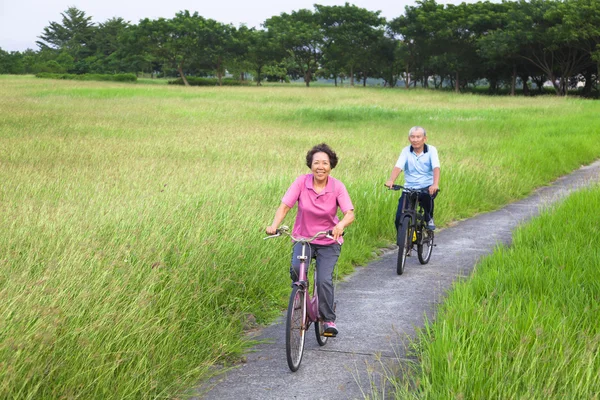 Feliz ásia idosos casal de bicicleta no o parque — Fotografia de Stock